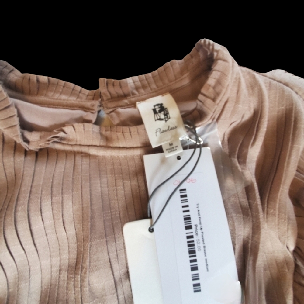 Pleated Ruffled Blouse - Picture 3 of 8